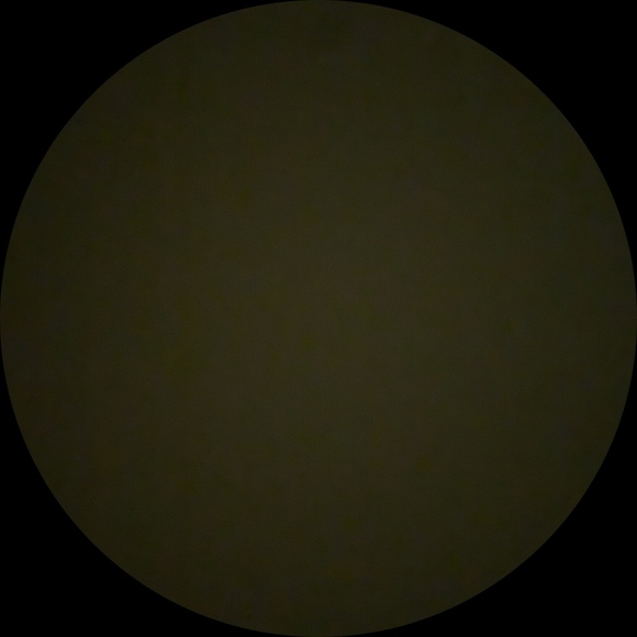 farahtavares20